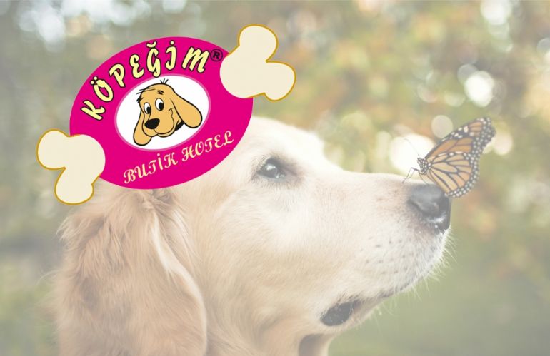 Köpeklerimize hizmet veren hazır web sitemiz yayına açıldı